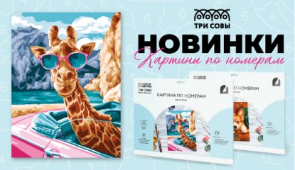 Большое пополнение популярной категории: новинки картин по номерам от «ТРИ СОВЫ»